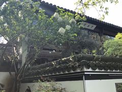 -苏堤停车场