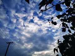 -鹿院坪生态旅游景区