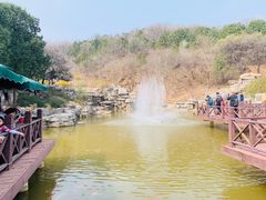 -北京西山国家森林公园