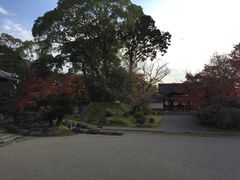 -醍醐寺