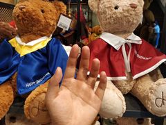 -济州岛泰迪熊博物馆