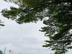 -广州国际生物岛