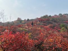 -水峪民俗村