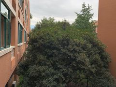 -四川大学(望江校区)