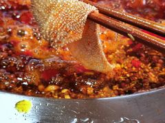 -马帮寨院坝火锅(龙港公园店)