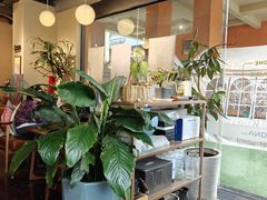 -星宙咖啡STELLARIS CAFE(广告产业园店)