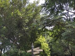 -三垟湿地