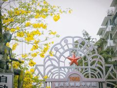 -黄桷坪涂鸦艺术街