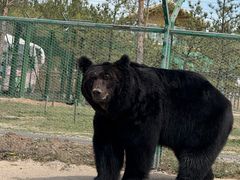 -鄂尔多斯野生动物园