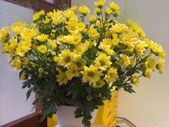 -初甜·舒芙蕾·韩式雪花冰(流塘店)