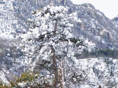 -沂蒙山旅游区云蒙景区(蒙山国家森林公园)