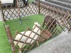 -清真·益鑫羊肉手抓馆(花园北街店)