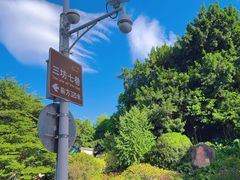 -乌山风景区