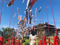 -芽庄珍珠岛游乐园