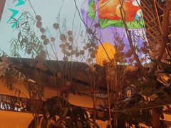 -桂满陇·海市蜃楼·黑金(国金店)