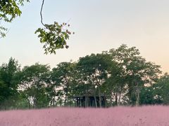 -南湖湿地公园