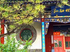-迎泽公园