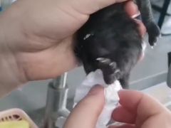 -爱侣宠医·鹦鹉专科·小型哺乳类·异宠专科(灵石路店)