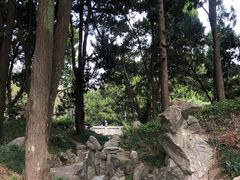 -叶家花园
