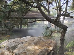 -熙古里艺术村