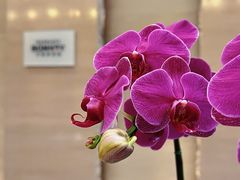 -广交会威斯汀酒店