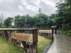 -王借岗森林公园