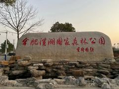 -合肥滨湖国家森林公园