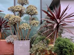 -La Terre乐田(万象城店)