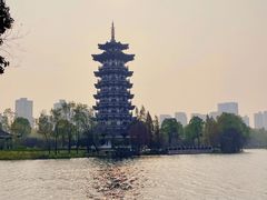 -洋湖国家湿地公园