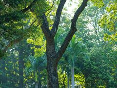 -人民公园(罗湖区)