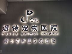 -派特宠物医院(海岸城店)
