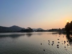 -顺峰山公园