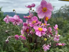 -金堂县云顶石城风景区