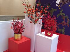 -柏乐口腔医院·舒适化无痛种植牙中心(东盟商务区院)