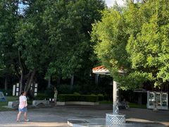 -南宁南湖公园