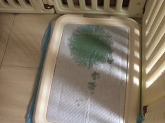 -翊宠yipet猫狗购宠庄园犬舍•猫舍