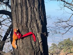 -终南山南五台景区