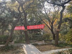 -观象山公园