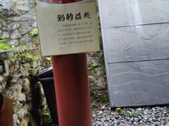 -长寿村
