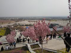 -古柏渡飞黄旅游区