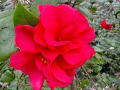 -两河城市森林公园