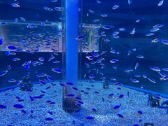 -海合安成都极地海洋公园