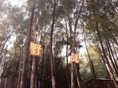 -西涌国际滨海旅游区