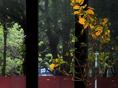 -M Stand(深圳龙岗万科广场店)