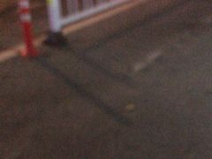 -华莱士·全鸡汉堡(宝岗店)