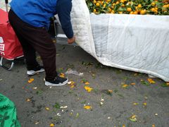 -三旗百汇商品城