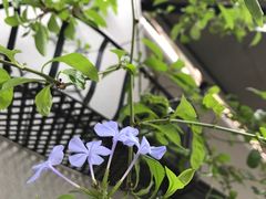 -转山咖啡(松柏社区店)
