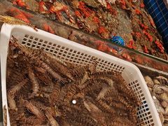 -一方渔歌蒸汽海鲜自助(文化路万达广场店)