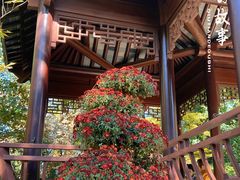 -上海醉白池公园