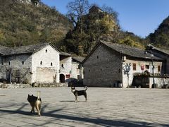 -高荡千年布依古寨旅游景区